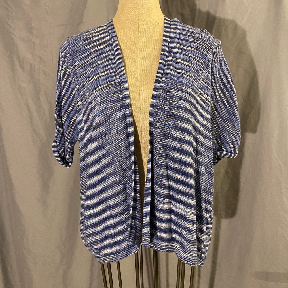 GAP blue and white sweater